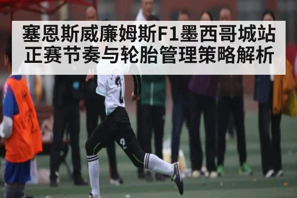 塞恩斯威廉姆斯F1墨西哥城站正赛节奏与轮胎管理策略解析（NG28）